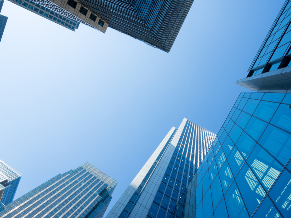 Informationen zur Wirtschafts-Identifikations­nummer