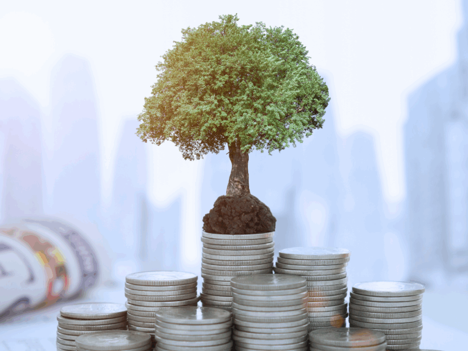 Gesetzentwurf Investitionssofortprogramm